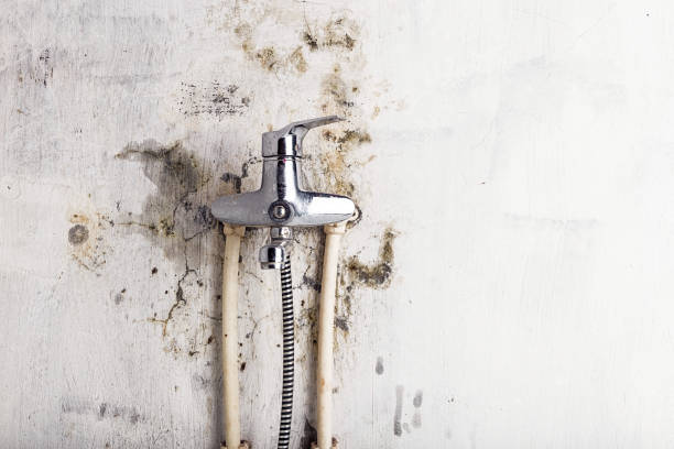 Best Post-Flood Mold Remediation in Rancho Mirage, CA